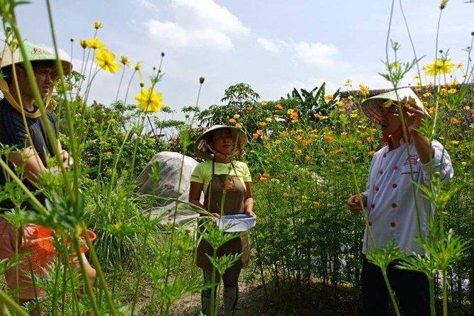 Unique farm to Table cooking class in Saigon - The Main Drawback: Time on the Road