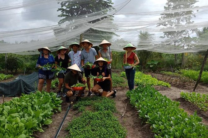 Unique farm to Table cooking class in Saigon - Walking the Organic Farm With a Basket