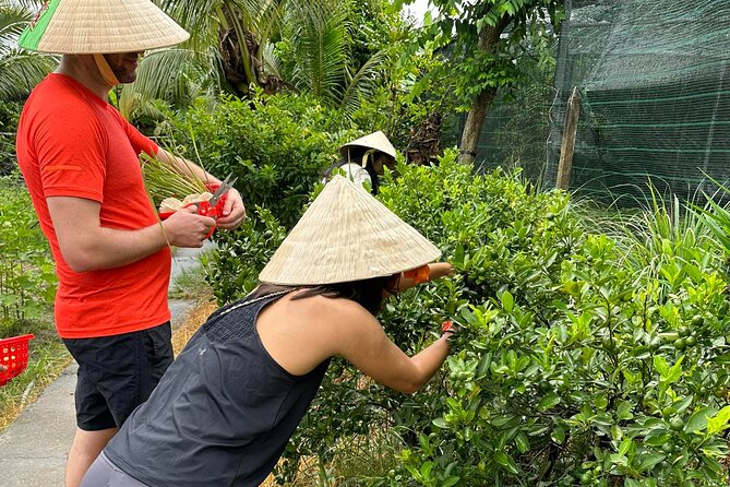 Unique Farm to Table Cooking Class with Top Chef in Vietnam - What you actually take home from the lesson