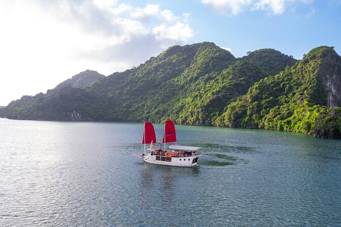 Unique Halong Private Day Cruise - Fishing Village, Kayak - The limousine transfer from Hanoi