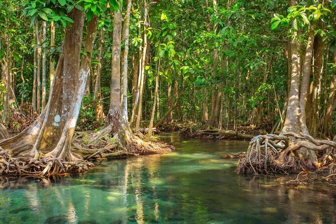 Vam Sat Mangrove Forest - VIP Private Tour - Leaving Saigon for Can Gio