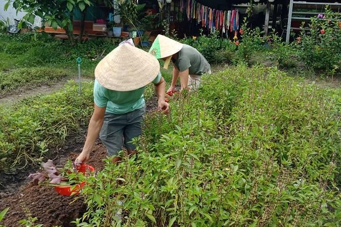 Vietnamese Cooking Class and Cu Chi Tunnels Tour from Ho Chi Minh City - Is $81 good value?