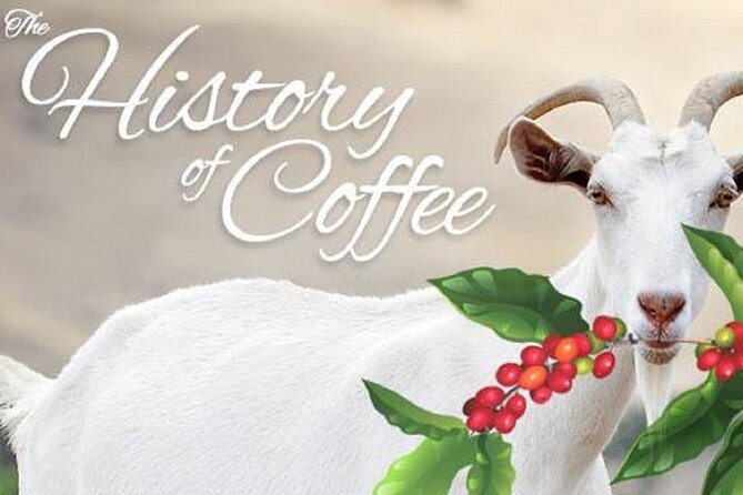 Vietnamese Culture and Coffee Making Class - Is five coffees in two hours good value at $15.39?